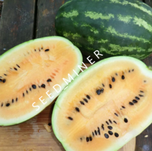 10 Organic Seeds Watermelon Mountain Sweet Yellow Heirloom - £7.71 GBP