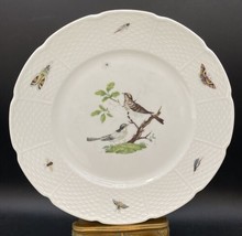 Ceralene Raynaud Limoges &quot;Les Oiseaux&quot; 10.75” Dinner Plate A READ - £30.48 GBP