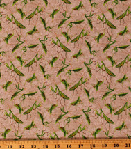 Cotton Praying Mantis Insects Bugs on Cracked Dirt Fabric Print BTY D751.05 - £28.31 GBP