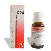 Dr. Reckeweg R24 (Pleurasin) (22ml) - £10.03 GBP