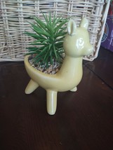 Llama Yellow Pot With Succulent-Brand New-SHIPS N 24 HOURS - £19.36 GBP