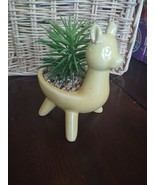 Llama Yellow Pot With Succulent-Brand New-SHIPS N 24 HOURS - £19.36 GBP
