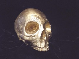 Human Half Skull Statue Hipster Kitsch Bold Bright Gold Color Skeleton B... - $24.99