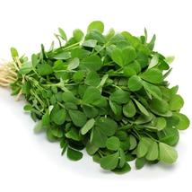 Fenugreek Culinary Herb 50 Seeds - £7.16 GBP