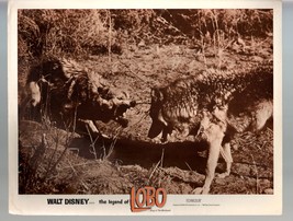 Legend Of Lobo...King Of The Wolfpack-Lot Of 8-11x14-Color-Lobby Card - £80.47 GBP