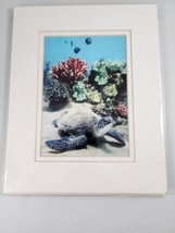 Monica &amp; Michael Sweet Hawaii Sea Turtle Signed Matted 8X10 Photo Art Print - £23.18 GBP