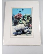 Monica &amp; Michael Sweet Hawaii Sea Turtle Signed Matted 8X10 Photo Art Print - £23.70 GBP