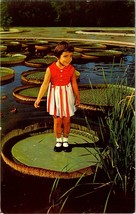 Vintage Postcard Longwood Gardens Water Lily Leaf Child Pennsylvania Unposted - £4.01 GBP