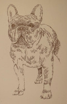 French Bulldog Dog Art Portrait #47 Kline Draws Your Dogs Name Free Great Gift - £38.88 GBP