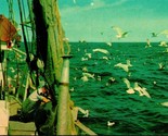 Dinner for the Seagulls Cape Cod Massachusetts MA UNP Chrome Postcard E5 - £3.12 GBP