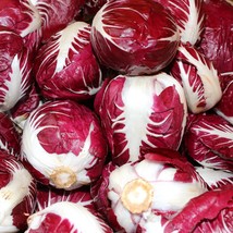 Radicchio Rouge De Verona Seeds 200 Vegetable Garden Fresh Garden Seeds - $4.00