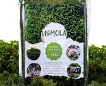 Usmola Fake Moss, Artificial Green Moss for Potted Plants Fairy Garden A... - $18.99