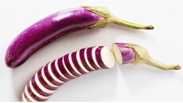 SEED-Long Ping Tung Purple Eggplant Chinese Japanese  Purple Shine Auber... - $61.41 MXN+