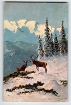 Deer Mountain View Trees Snow Postcard Signed Muller Wildlife HKM 419 Germany - £10.43 GBP