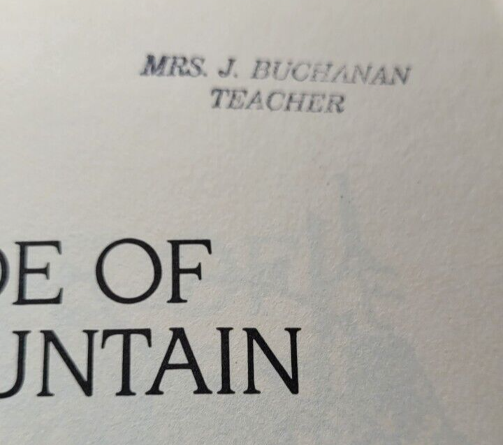 Paperback Book My Side Of The Mountain Jean Craighead George Reading Teaching Item image 5