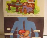 1978 Walt Disney&#39;s Fun &amp; Facts Flashcard #DFF4-15: The Digestive System - £1.56 GBP