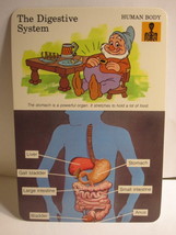 1978 Walt Disney&#39;s Fun &amp; Facts Flashcard #DFF4-15: The Digestive System - $2.00