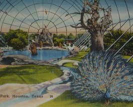 Bird House, Herman Park, Houston, Texas Vintage Linen Postcard  - £5.60 GBP