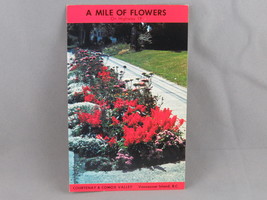 Vintage Postcard - The Mile of Flowers Courtenay Canada - Eric J Cooke - £11.99 GBP