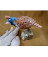 (Y-BIR-QU-41) Quail tan white blue bird gemstone STONE figurine Peru quails - $765.07 MXN