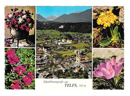 Austria Telfs Aerial View Alpenblumen Flowers Multiview Tirol Alps Postcard 4X6 - £3.99 GBP