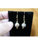 DP1-12i REAL DINOSAUR POOP 10mm bead dangle EARRINGS Utah ancient Dino C... - €14,49 EUR