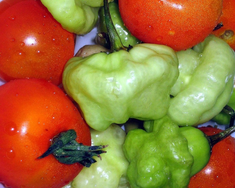 KKG Sweet Chili Pepper Mild Aji Cubano Dulce Cachucha Spanish 60 Seeds U... - $17.37