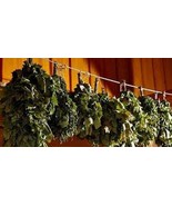 Set of 200 sauna broom, sauna whisk, russian banya, russian venik,200 pr... - $49,445.12 MXN