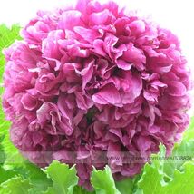 6340cd761216808d thumb200