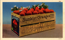 Vtg Postcard CA  Los Angeles Sunkist Oranges California Friutgrowers Exchange - £5.42 GBP
