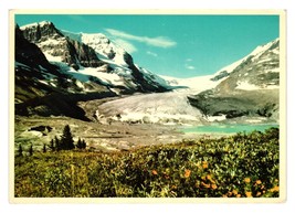 Vintage Canadian Rockies Postcard 1950s Athabasca Glacier Jasper National Park - £7.33 GBP