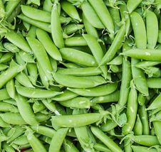 Free Shipping 15 Pea Seeds Heirloom Early Harvesting Non-GMO Sugar Snap Variety - £10.15 GBP