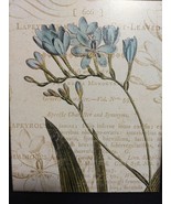 8&quot; x10&quot; Picture Lapeyrous Flower - £5.46 GBP