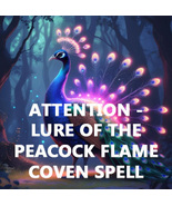 50x-200X FULL COVEN LURE OF THE PEACOCK FLAME ATTENTION HIGH MAGICK CASSIA4 - $77.77+