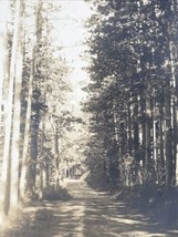Antique 1904-1920s RPPC Dirt Road Through Forest Tall Trees Real Photo P... - $9.49