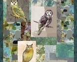 24&quot; X 44&quot; Panel Owls Birds of Prey Wild Wonder Cotton Fabric Panel D482.59 - $10.63