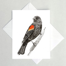 Red-winged Blackbird Note Cards - £3.08 GBP+