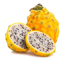 20 Yellow Dragon Fruit Pitaya Pitahaya Pear Hylocereus Megalanthus Cactus Seeds - £13.55 GBP