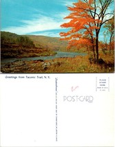 New York(NY) Taconic State Park Trail Autumn Fall Foliage River Vintage Postcard - £7.38 GBP