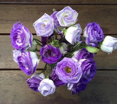 Fresh 20 Purple And White Lisianthus Flower Seeds Pelleted Seed - £18.23 GBP