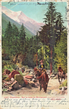 France~Chamonix - Sur La Route Du Montanvert~1908 Tinted Photo Postcard - $9.09