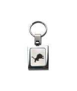 Detroit Lions SET OF 2 NFL Key Chain Keychain Ring Steel Car Auto Truck NEW - $17.58 CAD