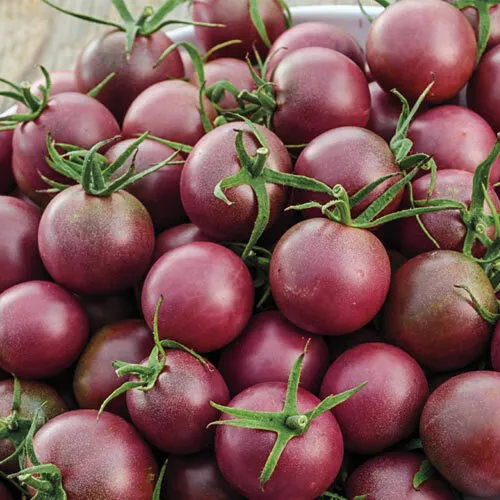 30 Black Cherry Tomato Seeds Non-GMO - £8.37 GBP