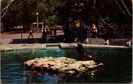 Forest Park Zoo St. Louis MO Postcard PC271 - $4.99