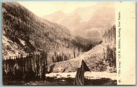 Illecillewaet Valley CPR Railway British Columbia Canada UNP DB Postcard... - £5.56 GBP