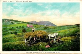 Vtg Postcard 1920s Haying Scene - White Mountains New Hampshire NH UNP Farming - £6.93 GBP