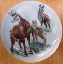 Cabinet Knobs Mountain Goat #2 Wildlife - $5.20