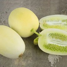 New 10 Dragons Egg cucumber seeds Fresh Specialty Fresh USA Garden - $10.95