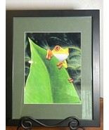 Joey Welsh Signed Matted Print - 11” x 14” - Frog In The Wild - $749.69 MXN