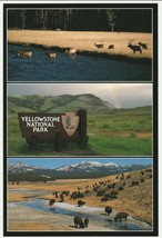Postcard Yellowstone National Park Elf Buffalo Sign Wyoming Unused - £4.66 GBP